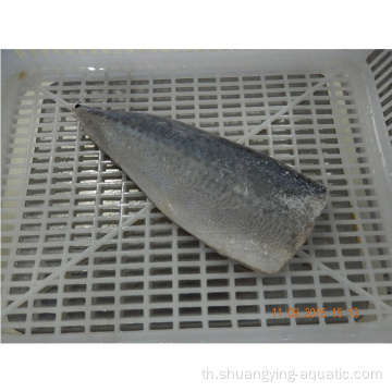 Frozen Scomber Japonicus Pacific Mackerel Fillets ราคา